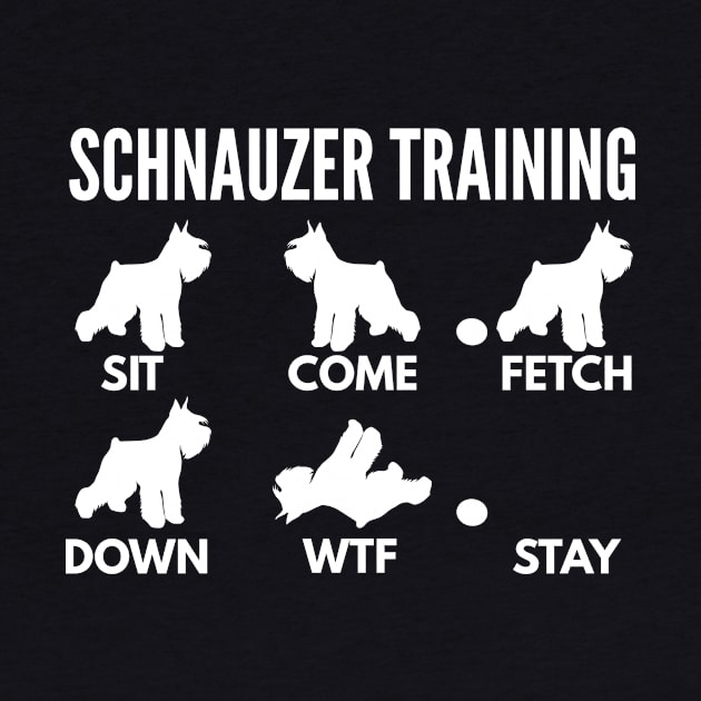 Schnauzer Training Schnauzer Dog Tricks by DoggyStyles